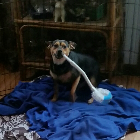 Meet your Posher, Debra - Picture 2 of 4